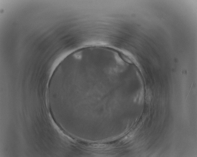 X0000073411295200608251515