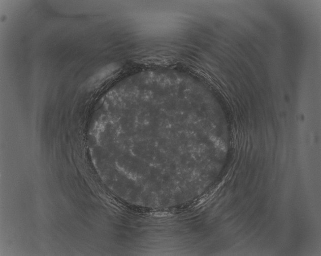 X0000073411297200608251514