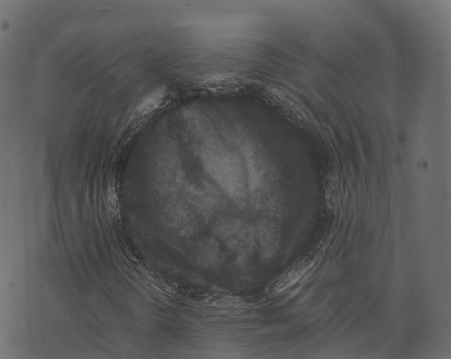 X0000073411298200608251514