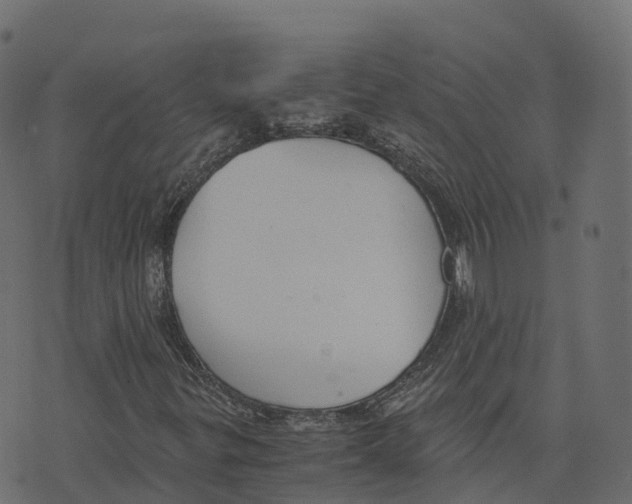 X0000073411299200608251514