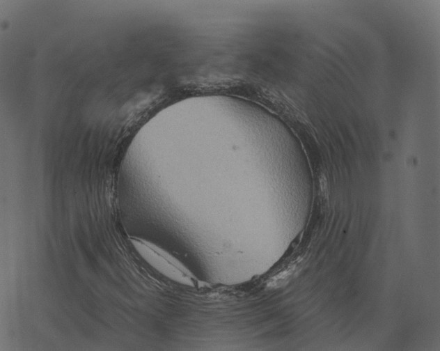 X0000073411300200608251514