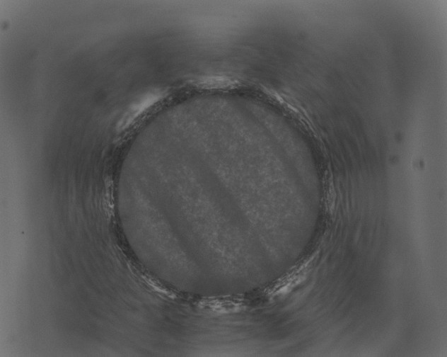 X0000073411301200608251514