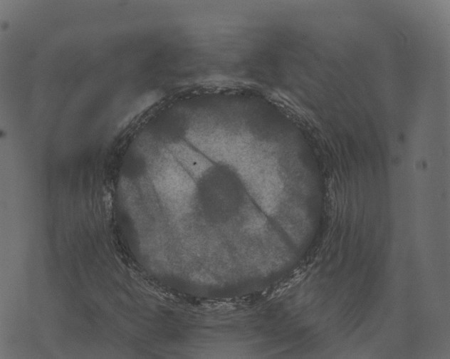 X0000073411302200608251514