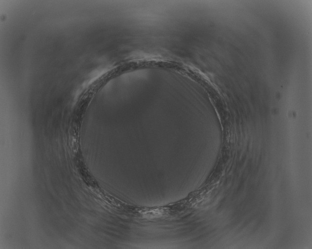 X0000073411303200608251514