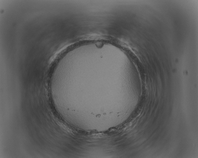 X0000073411304200608251514