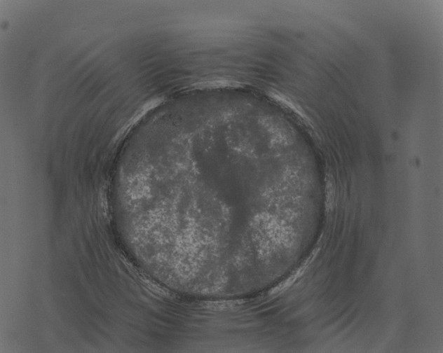 X0000073411305200608251514