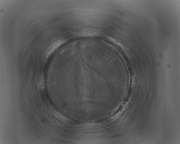 X0000073411306200608251514