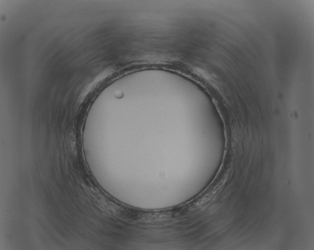 X0000073411307200608251514