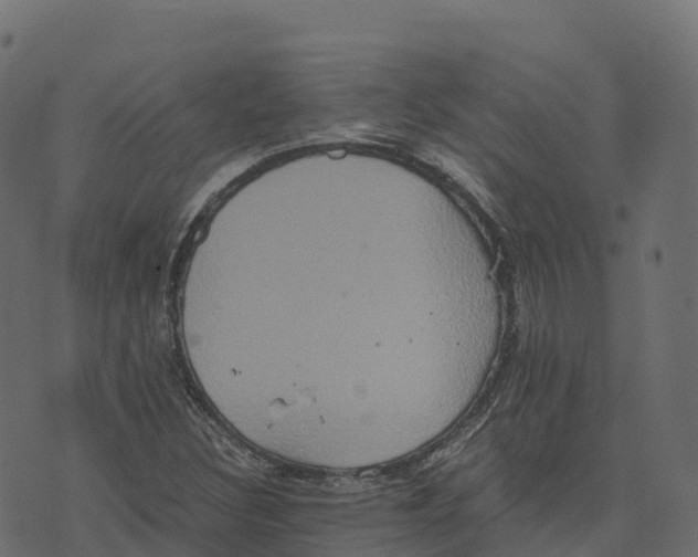 X0000073411308200608251514