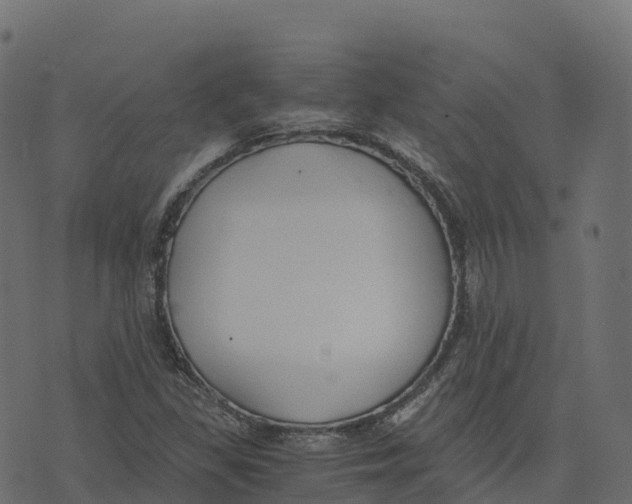 X0000073411309200608251515