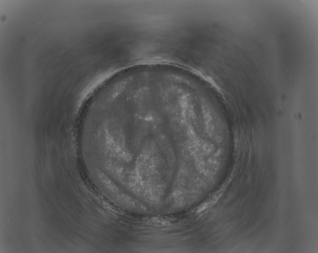 X0000073411311200608251515