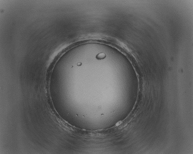 X0000073411312200608251515