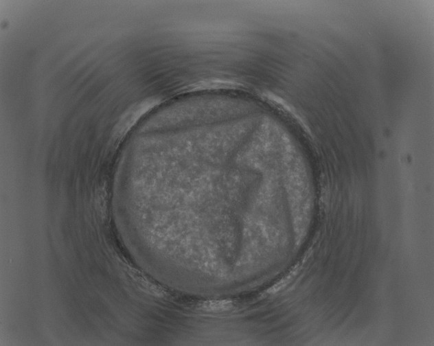 X0000073411313200608251515