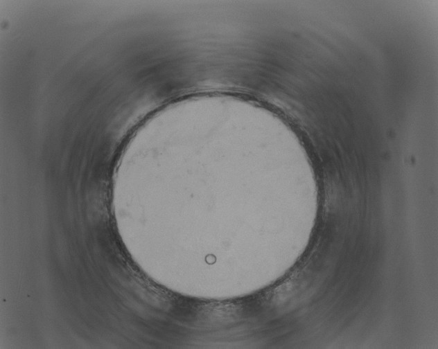 X0000073411314200608251515