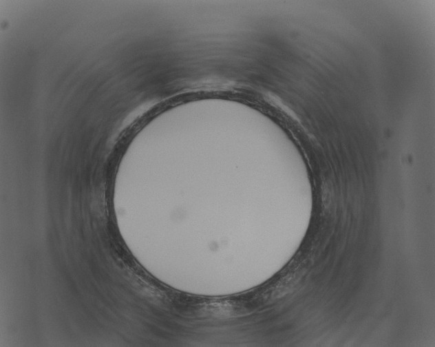 X0000073411315200608251515