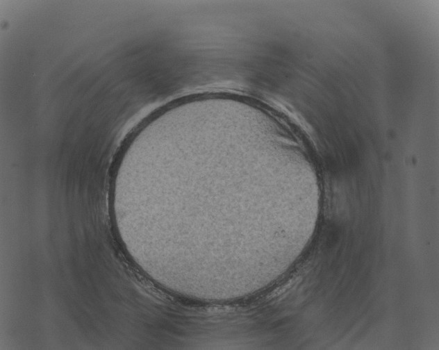 X0000073411316200608251515