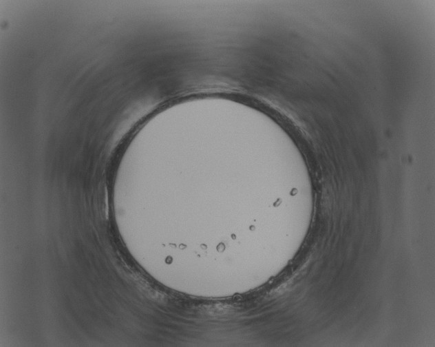 X0000073411317200608251515