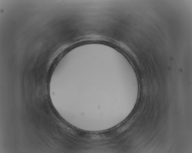 X0000073411318200608251515