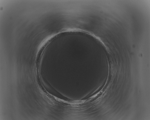 X0000073411319200608251515