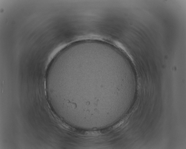 X0000073411320200608251515