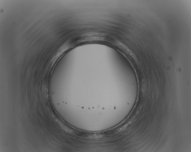 X0000073411321200608251515