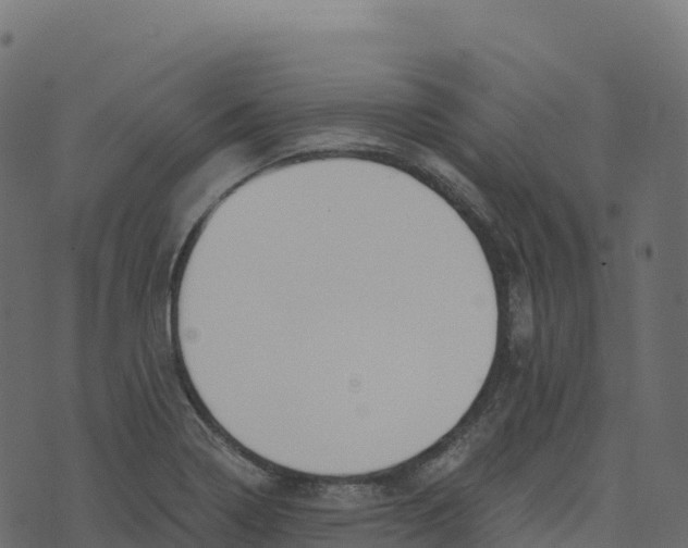 X0000073411322200608251515