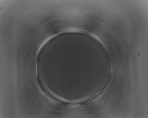 X0000073411323200608251515