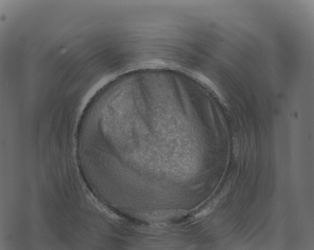 X0000073411326200608251515