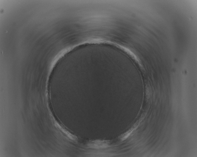 X0000073411327200608251515