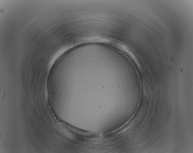 X0000073411328200608251515