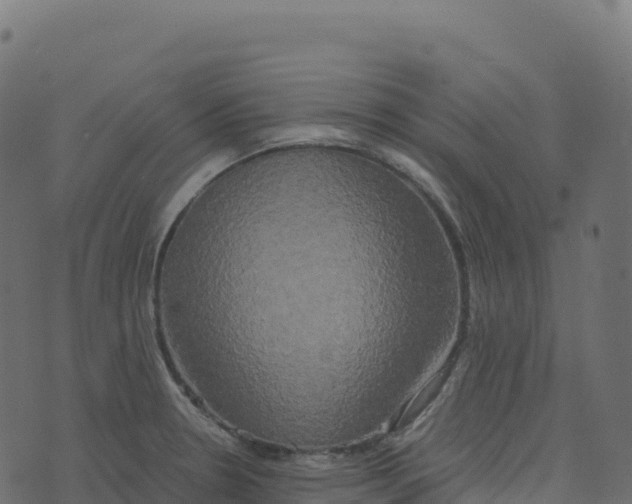 X0000073411330200608251515