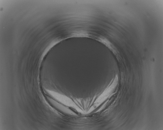 X0000073411331200608251515