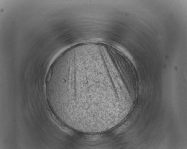 X0000073411332200608251515