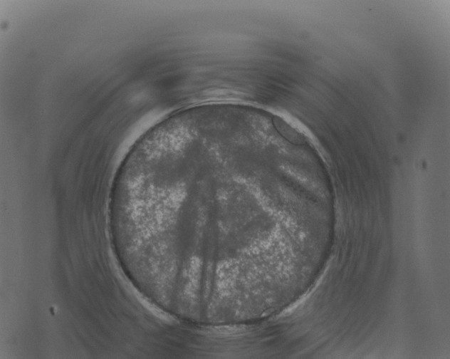 X0000073411333200608251515