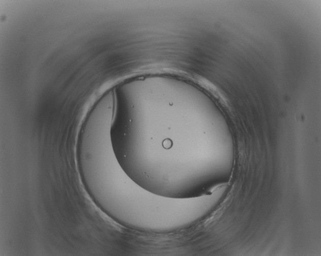 X0000073411334200608251515