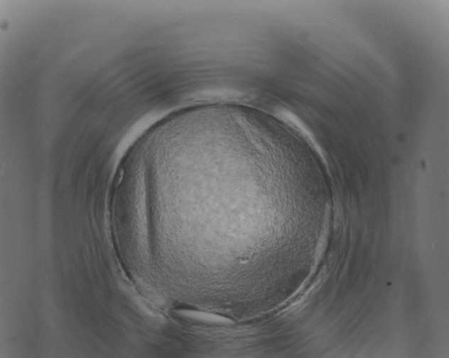 X0000073411336200608251515