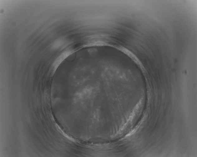 X0000073411337200608251515