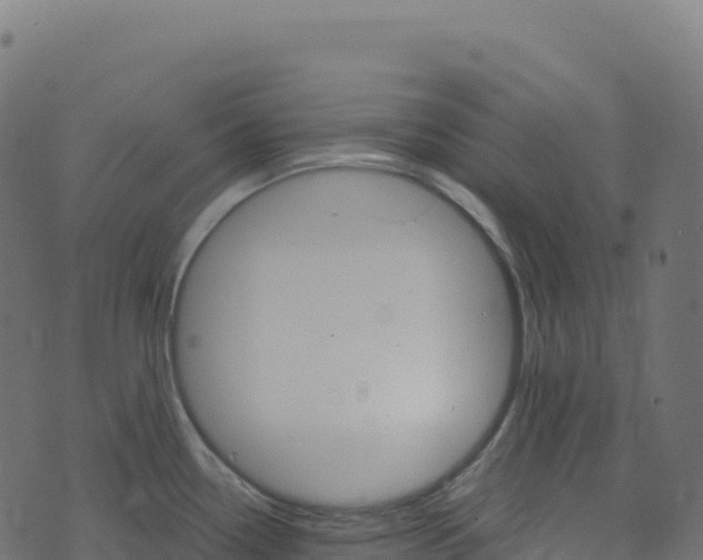 X0000073411338200608251515