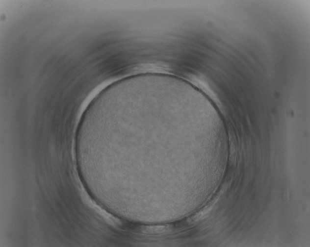 X0000073411339200608251515