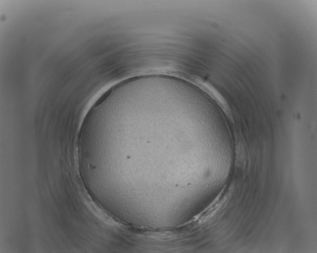 X0000073411340200608251515