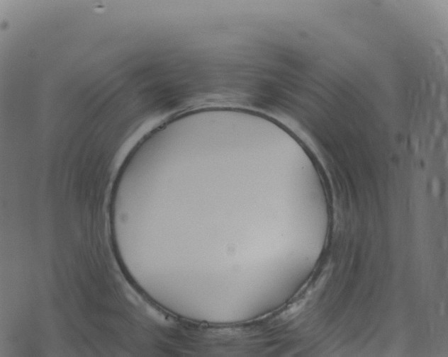 X0000073411341200608251515