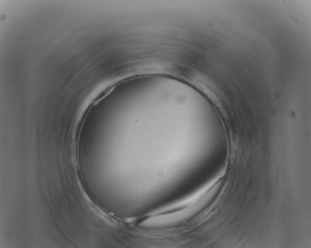 X0000073411342200608251515