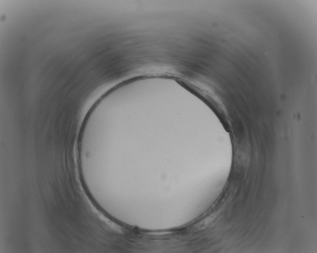 X0000073411343200608251515