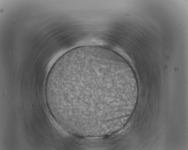 X0000073411344200608251515