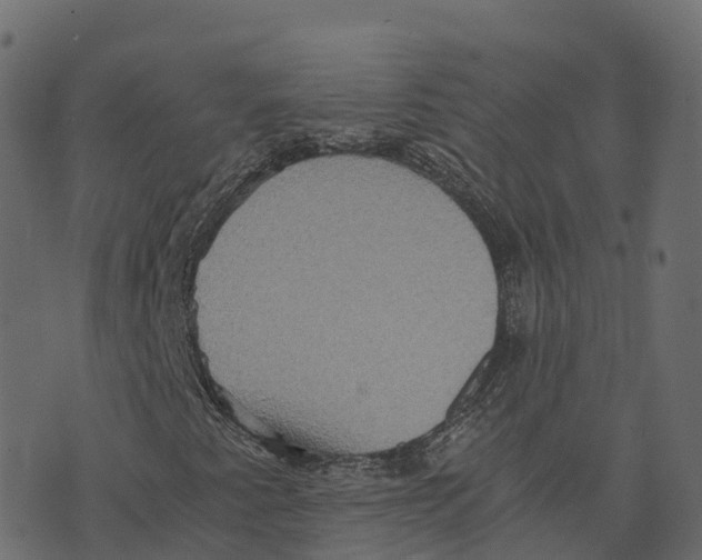 X0000073411345200608251514