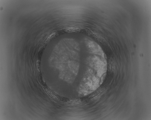 X0000073411346200608251514