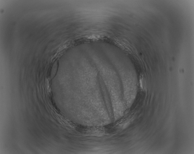 X0000073411347200608251514