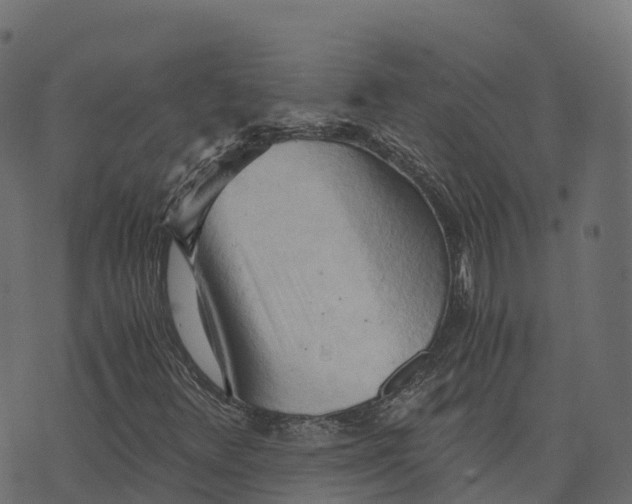 X0000073411348200608251514