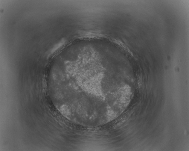 X0000073411350200608251514