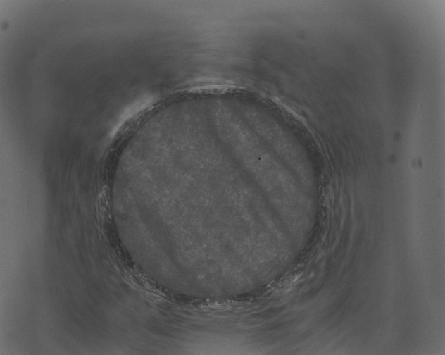 X0000073411351200608251514